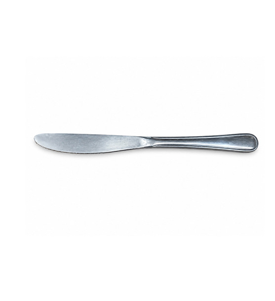 Stainless Steel Dinner Knife
