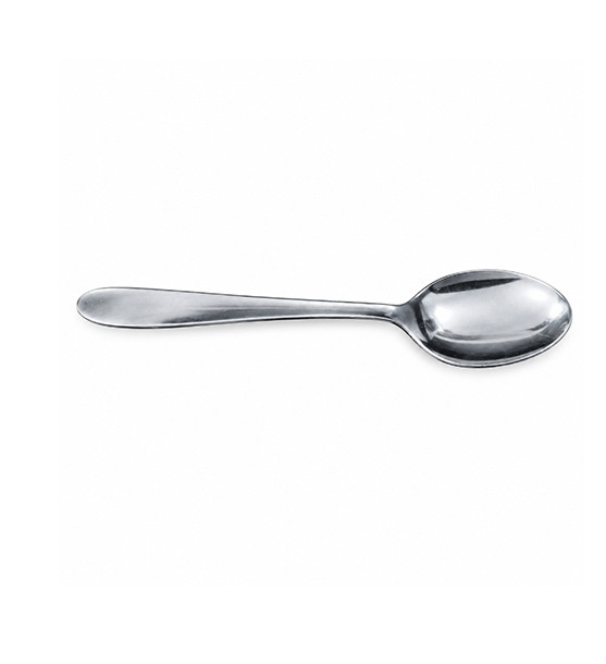 Stainless Steel Spoon